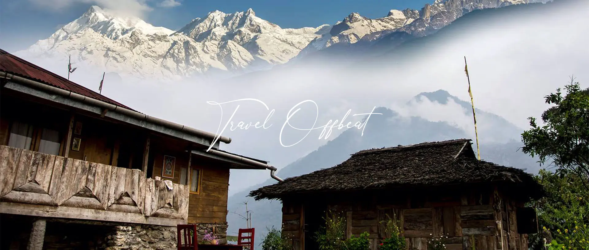 Festival, Trips and Camps