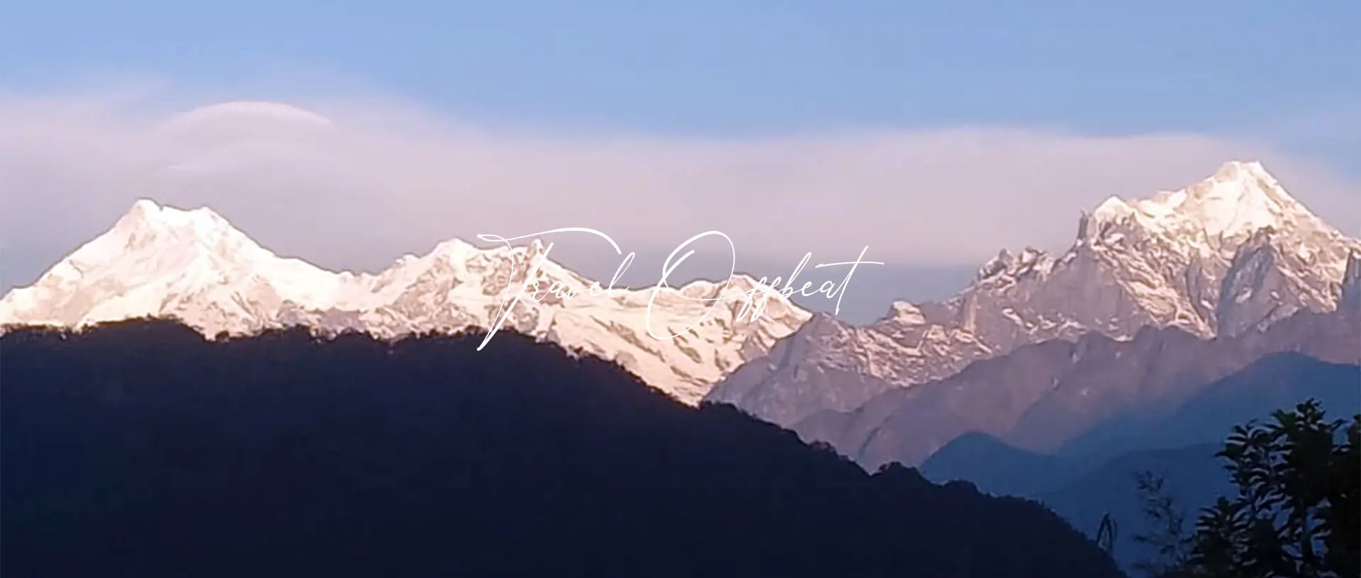 Festival, Trips and Camps