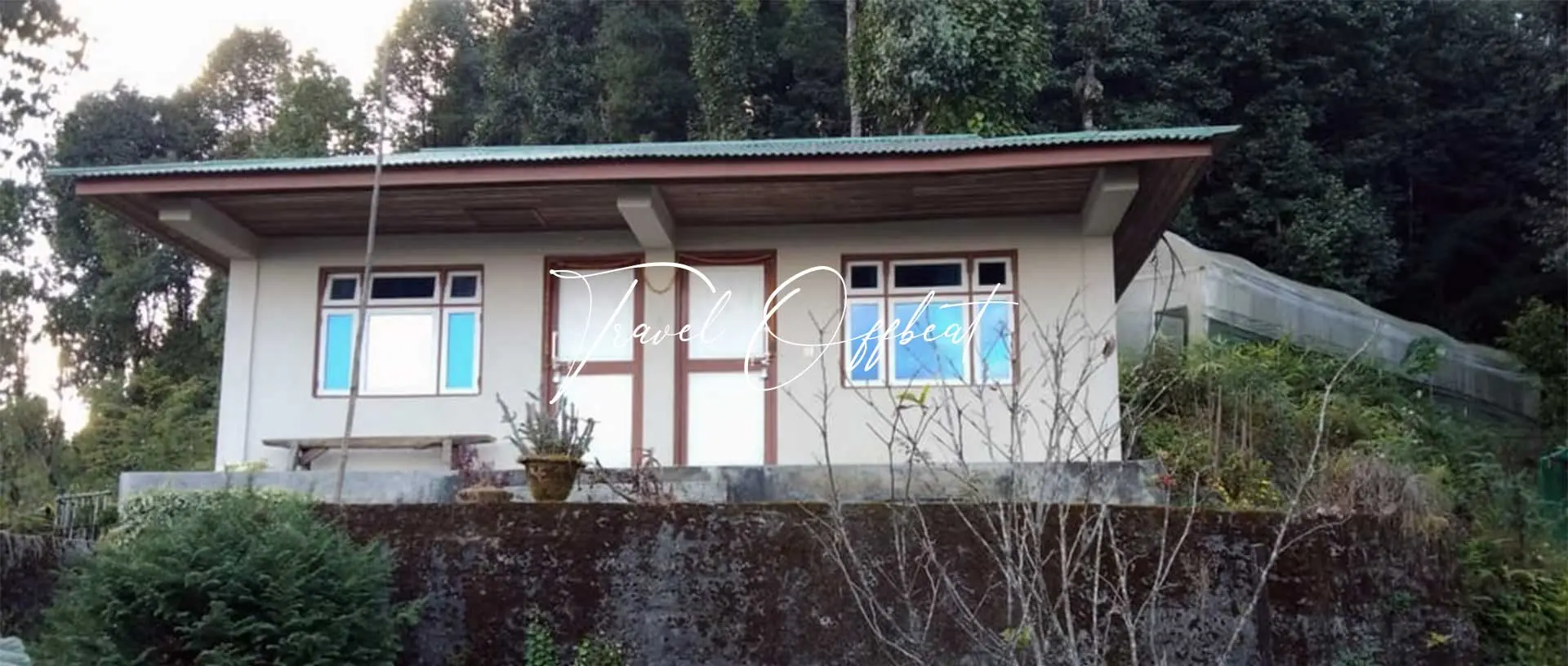 Festival, Trips and Camps